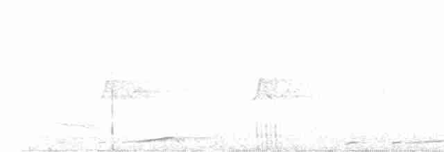holub bažantí - ML549251951