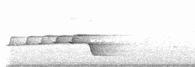 Mangrove Whistler - ML549260761