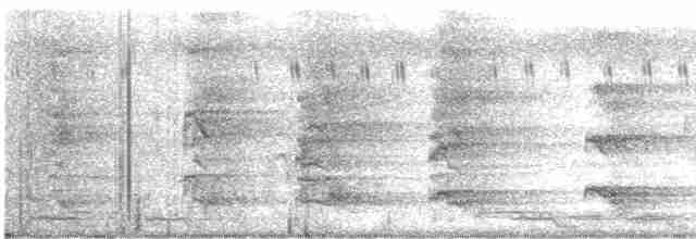 אנפית מנגרובים (עולם ישן) - ML549284851