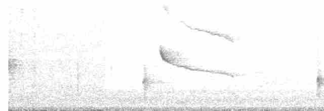 Eurasian Collared-Dove - ML54931651