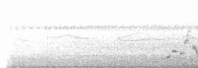 Короткокрылая камышевка - ML549325011