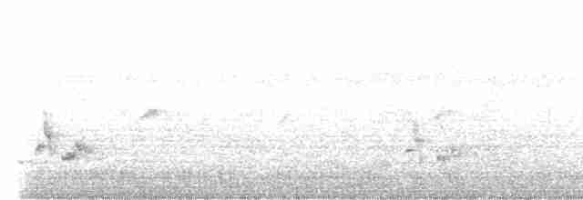 Короткокрылая камышевка - ML549325021