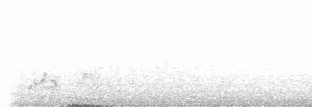 Короткокрылая камышевка - ML549325361