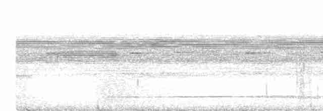 Great Tinamou - ML549350641