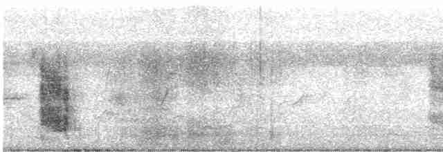 חרטומית חדת-זנב - ML549364601