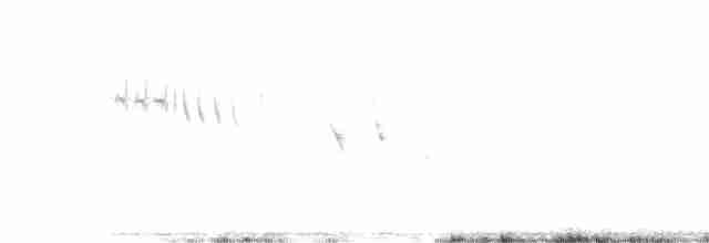 Western Subalpine Warbler - ML549371311