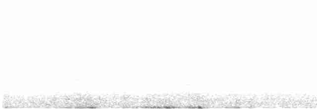 Common Merganser (North American) - ML549425901