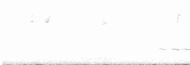 Black-crested Titmouse - ML549429701