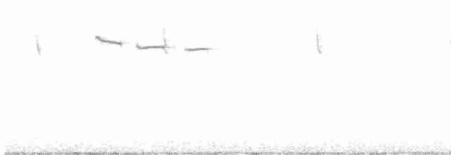 Black-crested Titmouse - ML549429711