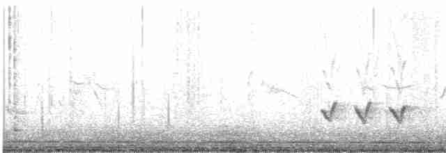 Sinsonte Norteño - ML549483651