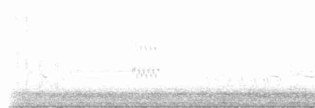 Loggerhead Shrike - ML549485711