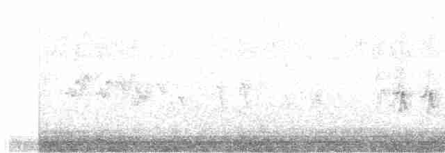 Black-lored Yellowthroat - ML549617701