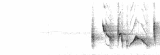  - White-eyed Vireo (White-eyed)