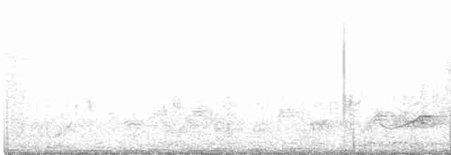 White-browed Fantail - ML549668691
