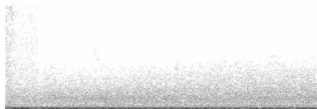 Paruline à calotte noire - ML54966951