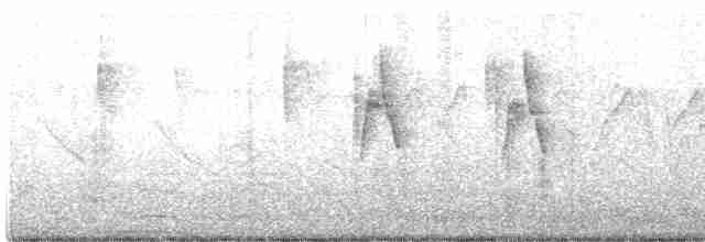 Greenish Warbler - ML549671391