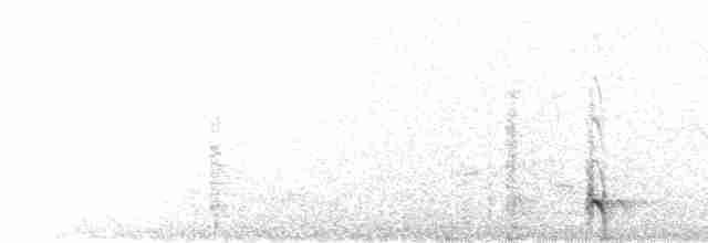 Gray Francolin - ML549674491