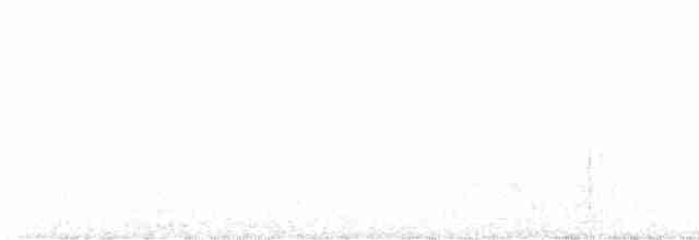 Common Raven - ML549679361