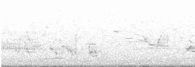 Western Meadowlark - ML549690321