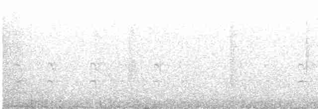 Шишкар ялиновий - ML549693761