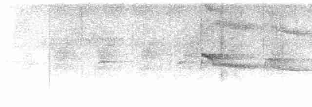 Long-tailed Broadbill - ML549706881