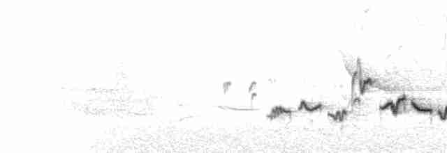  - Warbling Vireo (Eastern)