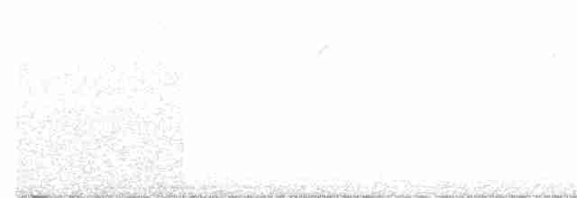 Pine Warbler - ML54972001