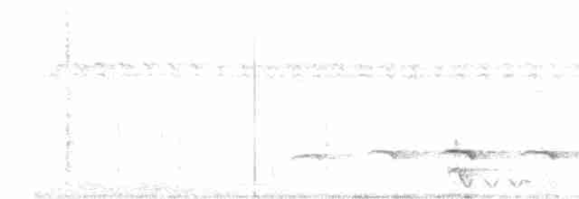Ak Karınlı Drongo - ML549728441