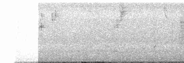 Savannah Serçesi [sandwichensis grubu] - ML549780261