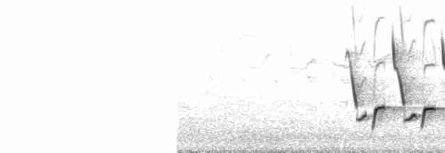 Каролинский крапивник - ML549800111
