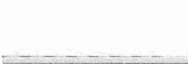 chřástalík běloskvrnný - ML549800641