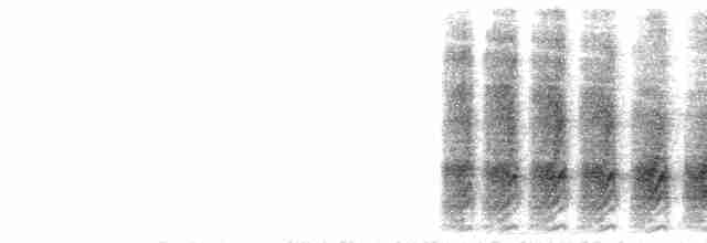  - Black-billed Magpie