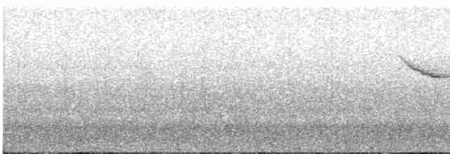 Paruline hochequeue - ML549819221