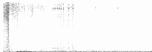 Трясогузковый певун - ML549947621
