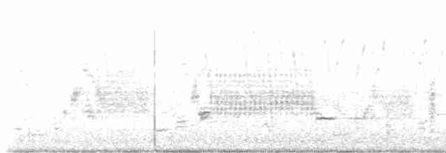 vlhovec červenokřídlý - ML549998131