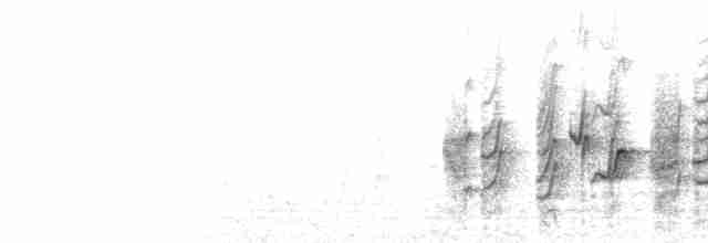  - Barn Swallow (American)