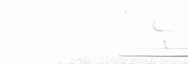  - Japanese Bush Warbler