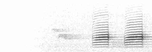  - Red-breasted Nuthatch