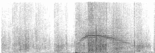 Nazca Booby - ML550133921
