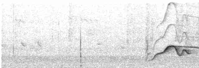 Чагарниця чорнохвоста - ML550152001