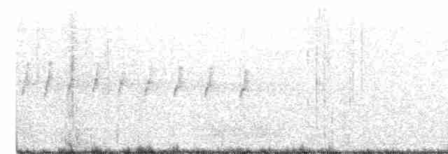 棕腹鷹鵑 - ML550152971