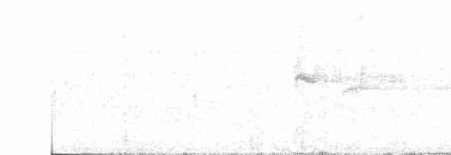 Hogson Atmaca Guguğu - ML550152981