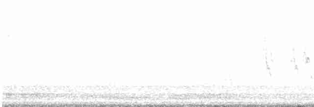 jespák rudokrký - ML550152991