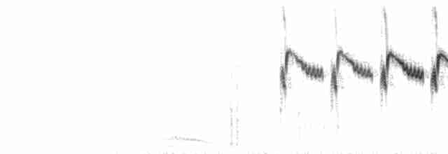  - Rock Wren (Northern)