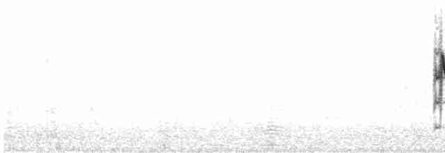 Ak Kanatlı Baştankara - ML550159531
