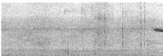 Gray-throated Babbler - ML550181491