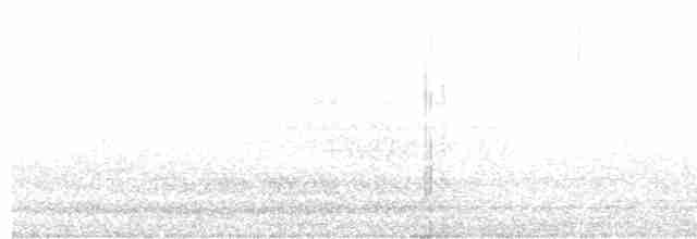 Graumennigvogel - ML550188601