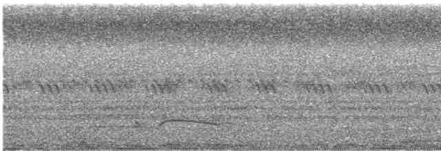 Great Eared-Nightjar - ML550193271
