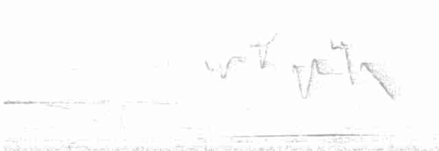Papamoscas de Mcgrigor - ML550202871
