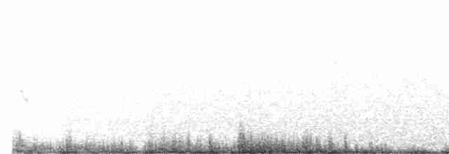 Eurasian Kestrel (Canary Is.) - ML550209891